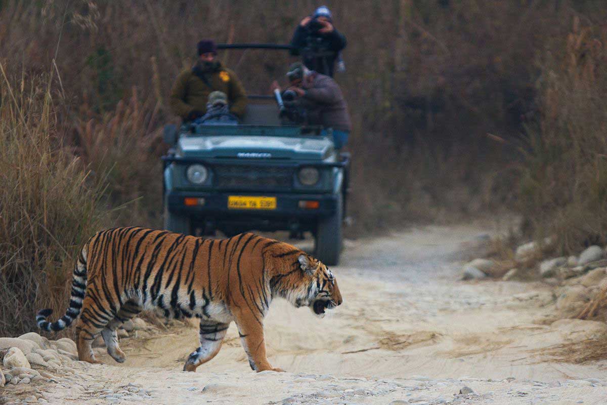 Corbett-Park